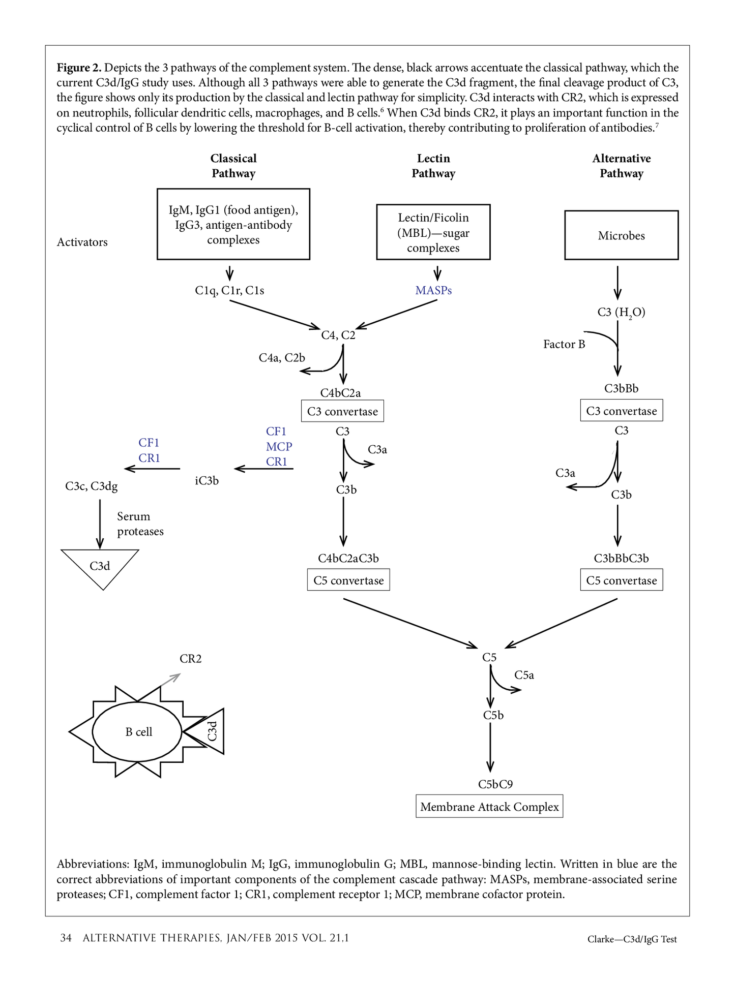 Clinical Paper