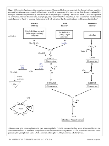 Clinical Paper