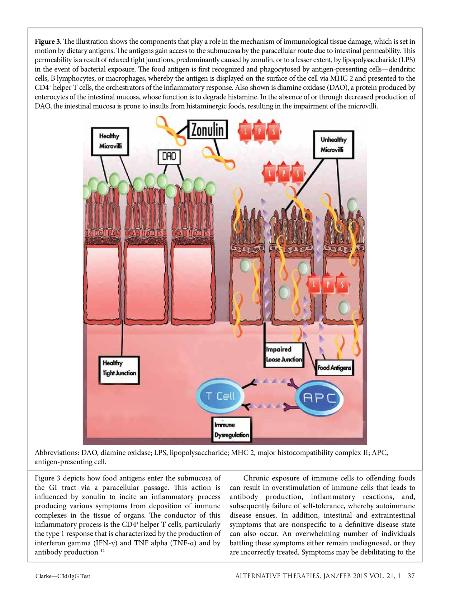 Clinical Paper