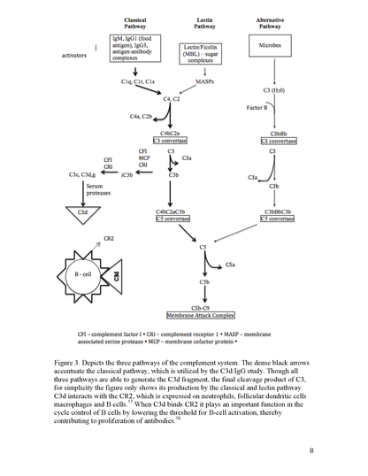 The Relevance of Using the C3d/IgG Test in Clinical Intervention